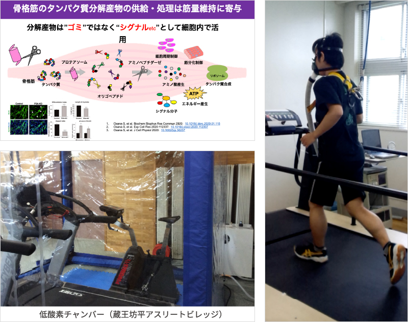 スポーツ医科学コアセンター