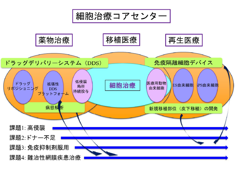 細胞治療コアセンター